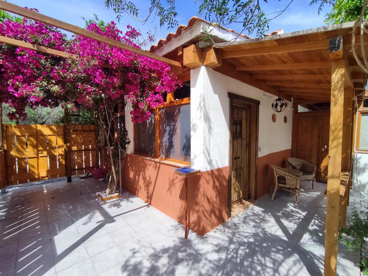 Apartamento El Grifo 卡莫纳 外观 照片